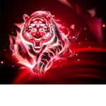 RedTiger's Clothing Group!