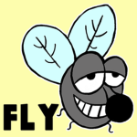 Team Flyy