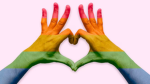 The lgbtq+ for everyone