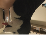 Gamergeorge1237
