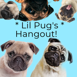 * Lil Pug's * Hangout!