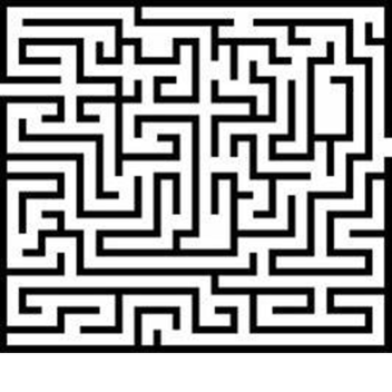 huge maze