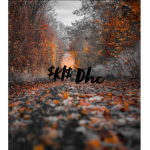 $kts$ Dhc