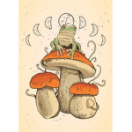 The mushroomfrogs