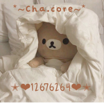 *~Cha.core~*