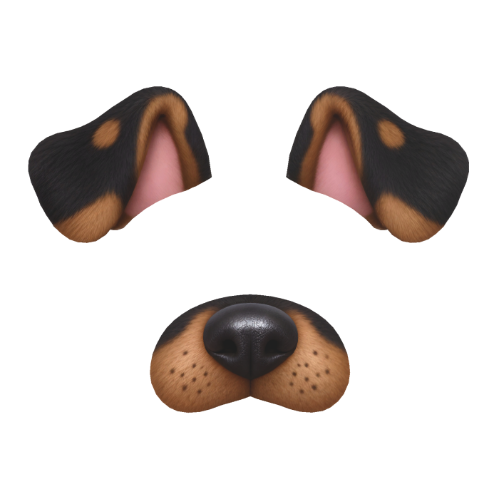 Dog Filter