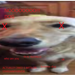 butter dog is dead