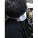 고양이 소비에트연합국