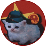 Vietnamese Cat's Studio / ベトナムの猫のスタジオ