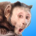 monkey ville