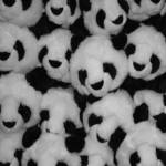・Panda lovers・