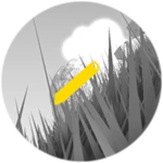 A Needle