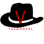 Team V0XAL