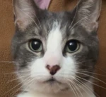 Yuki is Hungry Group Thumbnail