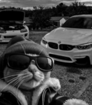 XBMWFAN