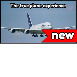 The true plane expeirence