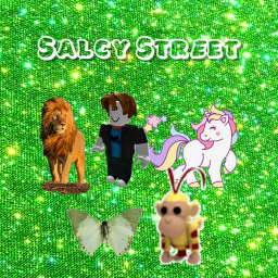 Salcy Street!