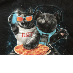 The Awwwwsome Cats RP