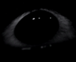 Graypow's group /Missingvr