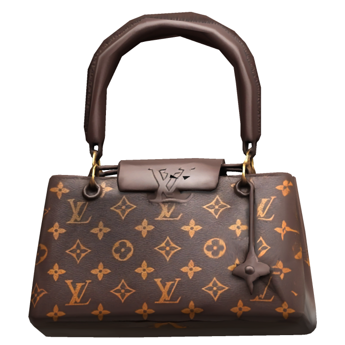 Cutesy Rich Luxury Designer Purse LV