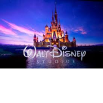 DisneyFanGroup