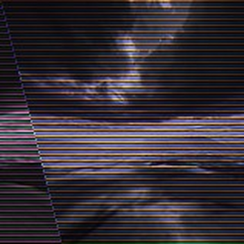 RAT POISION