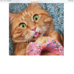 Willy and Bella the donuts forever