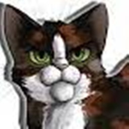Warrior Cats rp!