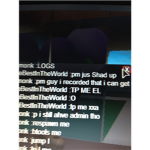 The Robloxian Secirty