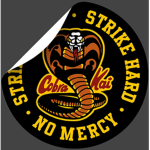 ~Cobra Kai Karate~