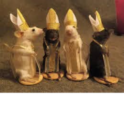 ＬＡＴＩＲＥＭＯ