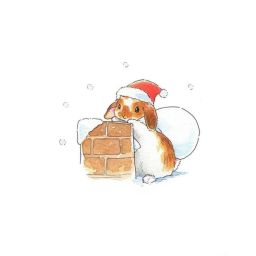 ⋆｡˚❆˚ ｡⋆