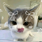 *~Livy~*