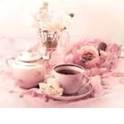 Pink blossom tea party hangout icon