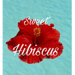 Sweet Hibiscus