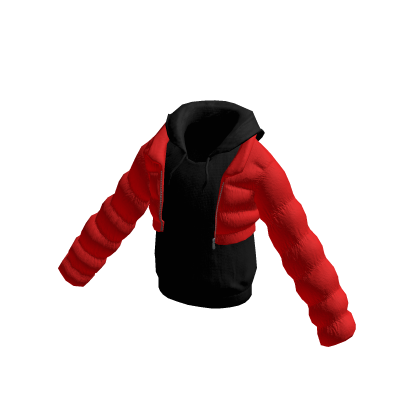 Red n Black puffer crop jacket and inner hoody