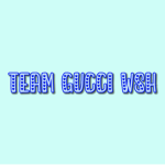 Team GUCCI wsh
