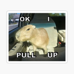 capybara army...