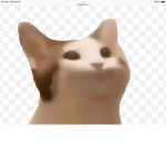 Popcats club
