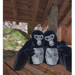 Bing bong36364