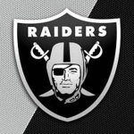 The Robot Raiders