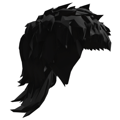 Mullet Black Hair