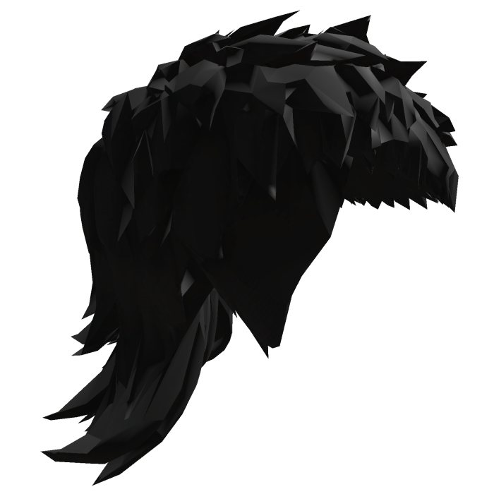Mullet Black Hair