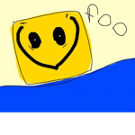 VIGO_XD
