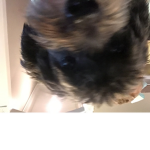 AnnaBananaPlayz