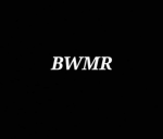 BWMR (Berry Wod miniature railway