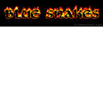 THE BLUE SNAKES!