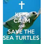 The epic turtle gang!