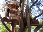 Ayr's friends' and pals' tree house
