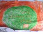 Rhys the orange king